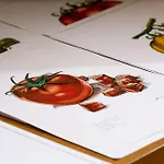 Giaminera & Art
