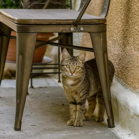 Konukevi Giaminera & Art Baunei